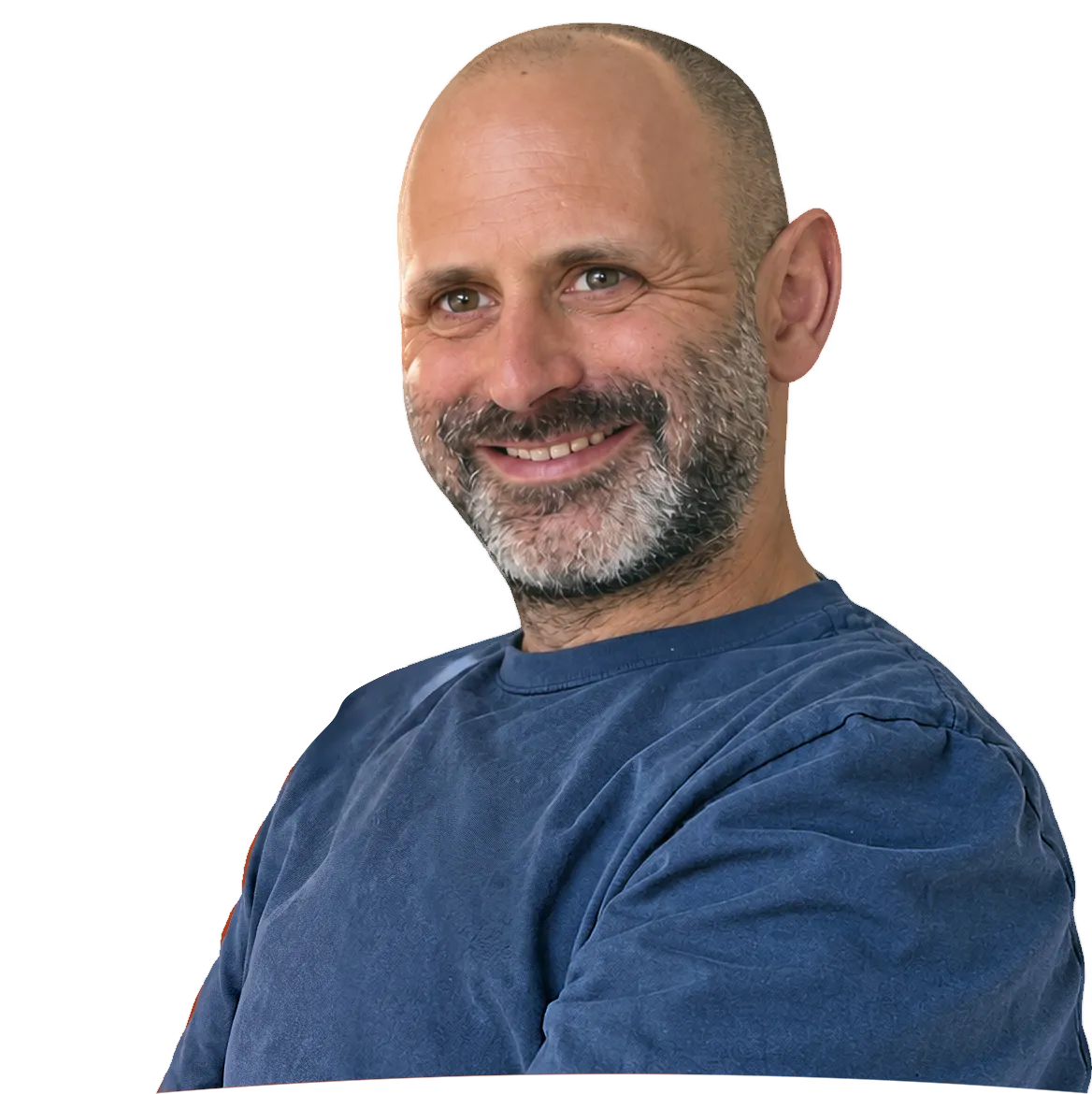 האווי גליק